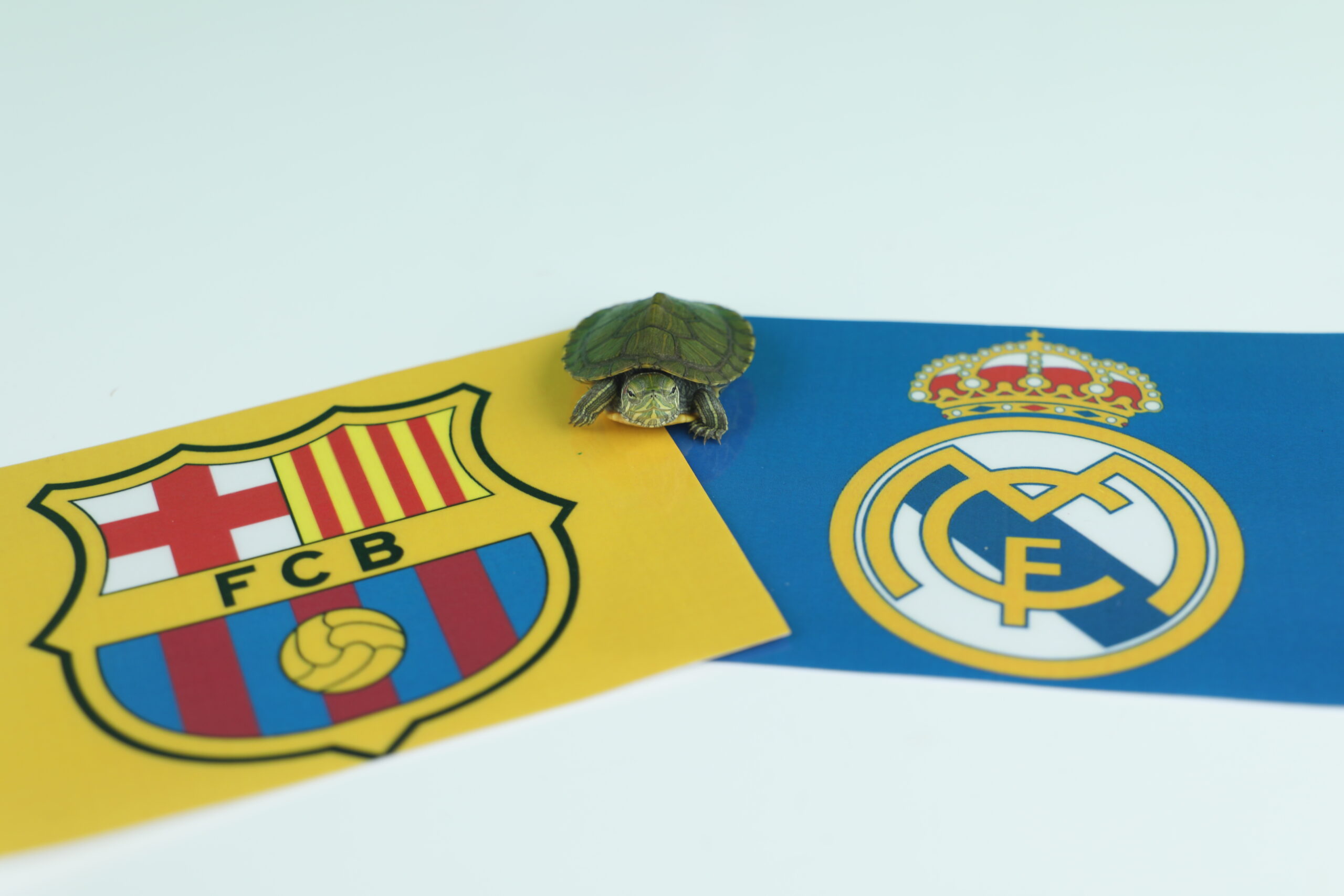 ريال مدريد - برشلونة - نينجا
