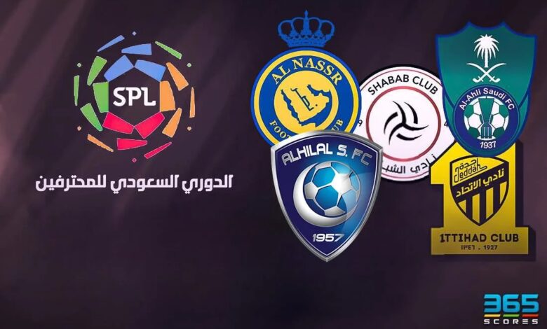 الدوري السعودي للمحترفين