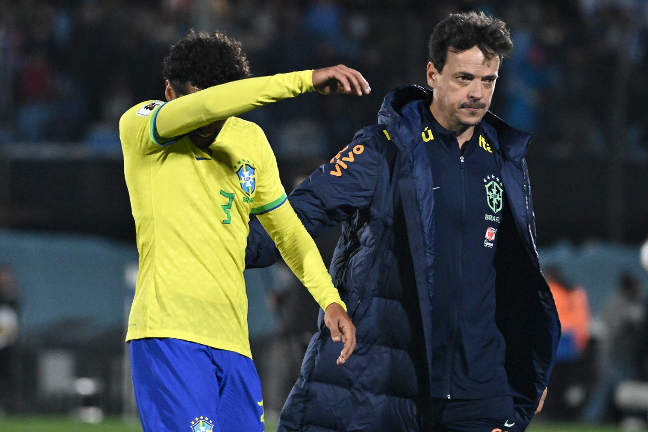 فيرناندو دينيز - منتخب البرازيل