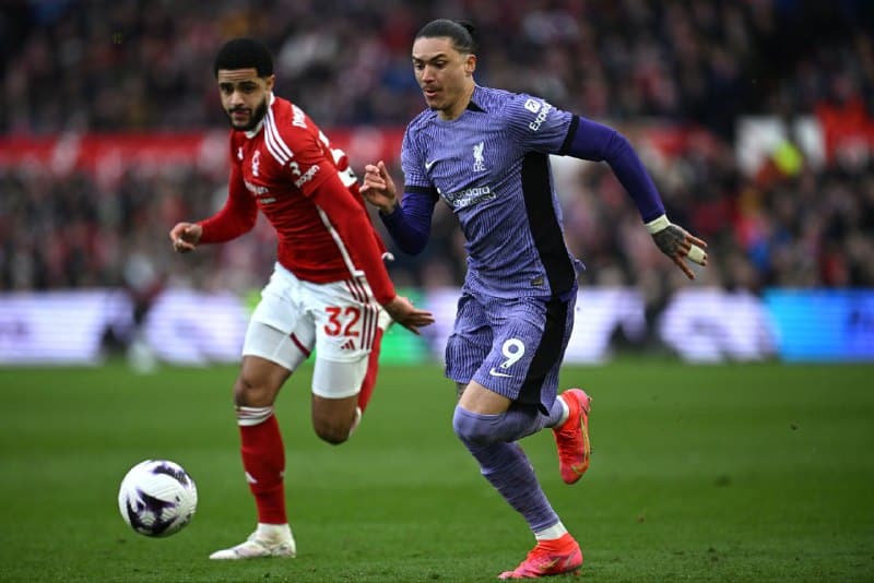 ليفربول