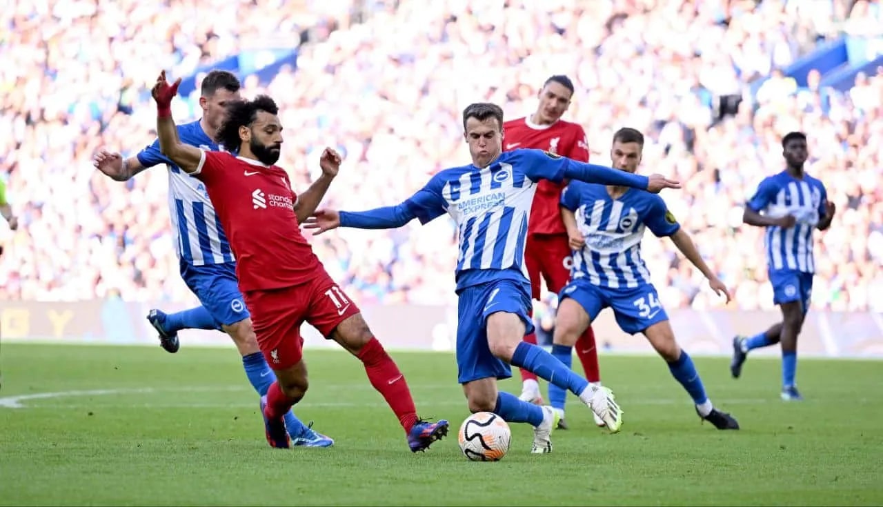 ليفربول ضد برايتون