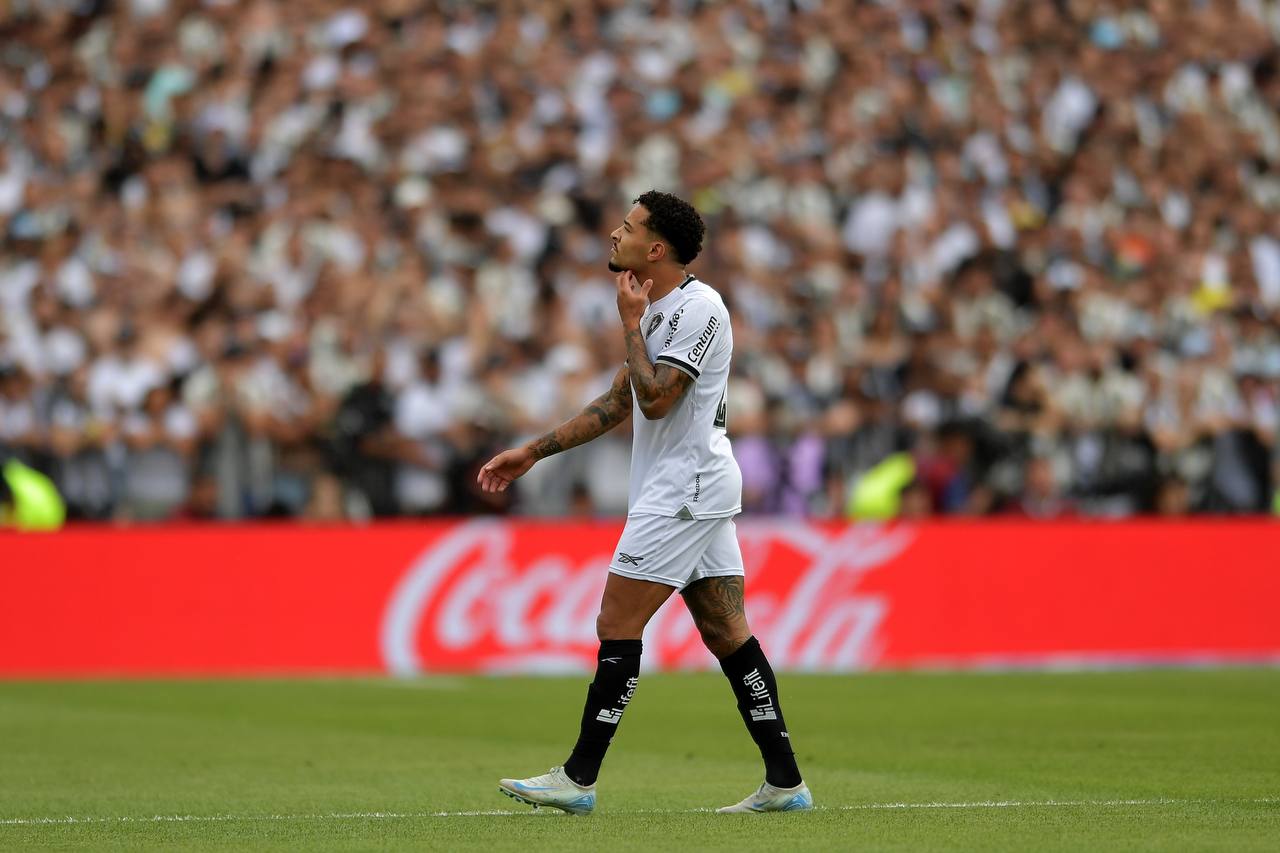 جريجوري لاعب بوتافوجو
