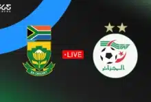 مباشر مباراة الجزائر وجنوب إفريقيا اليوم في أمم إفريقيا للمحليين