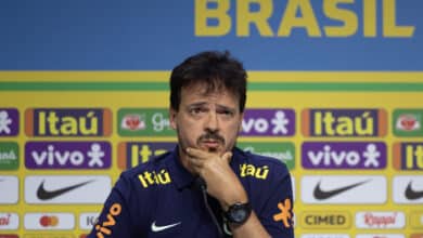 Fernando Diniz, Seleção