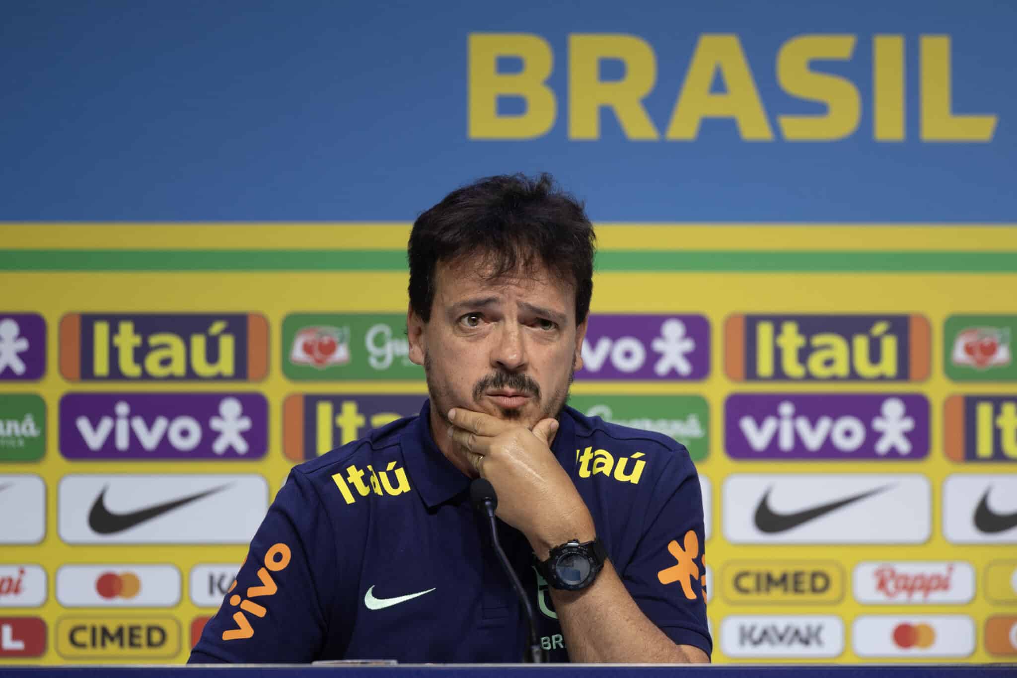 Fernando Diniz, Seleção