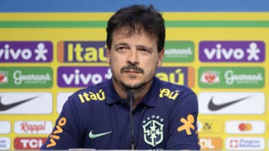Fernando Diniz, Seleção