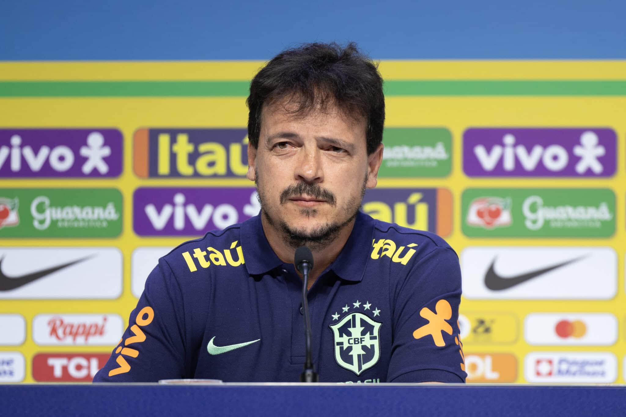 Fernando Diniz, Seleção