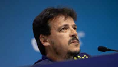 Fernando Diniz, Seleção