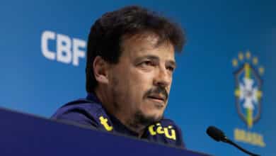 Fernando Diniz, Seleção