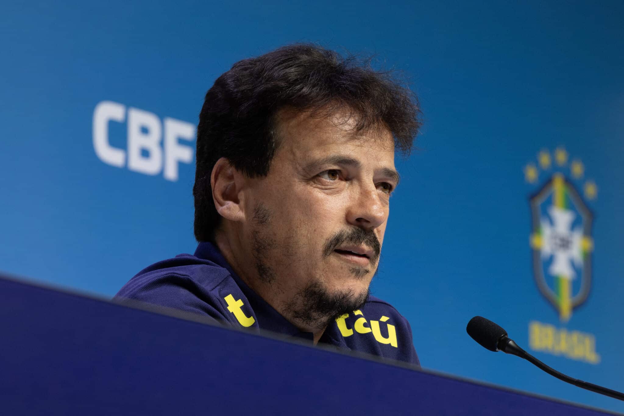 Fernando Diniz, Seleção