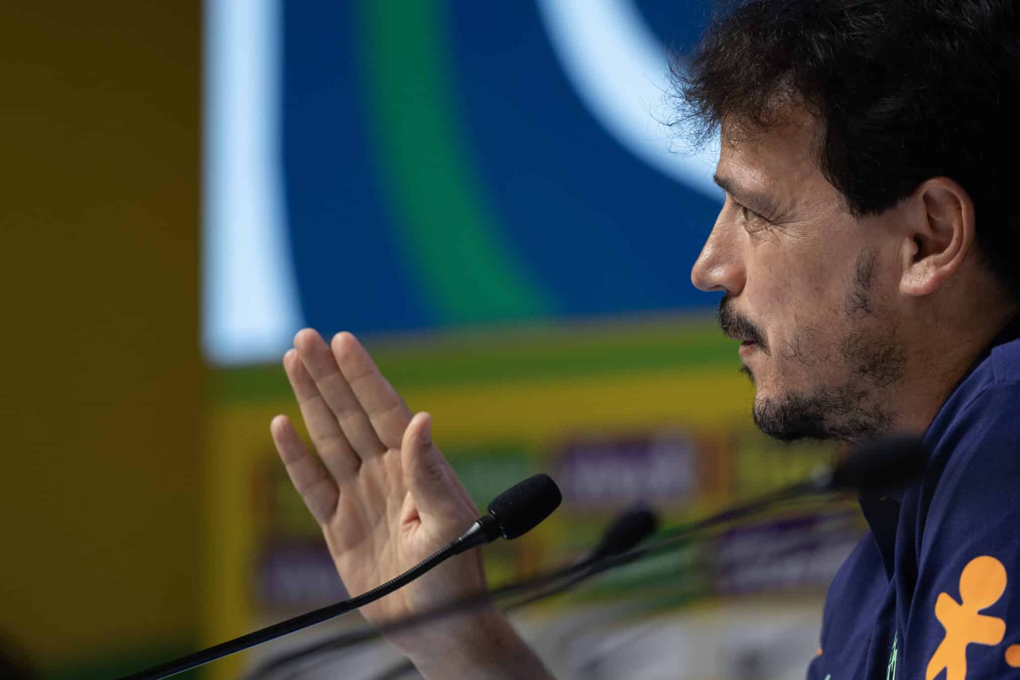 Fernando Diniz, Seleção