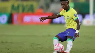Vini