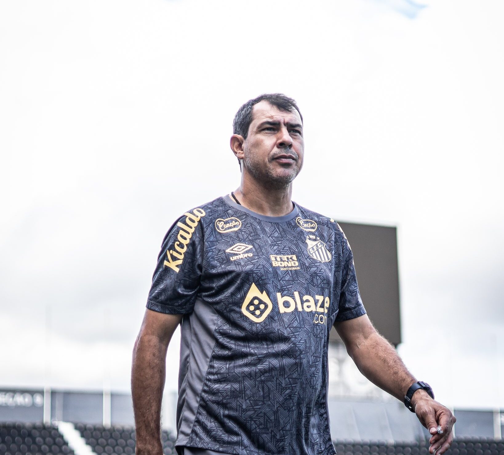 Carille no Santos