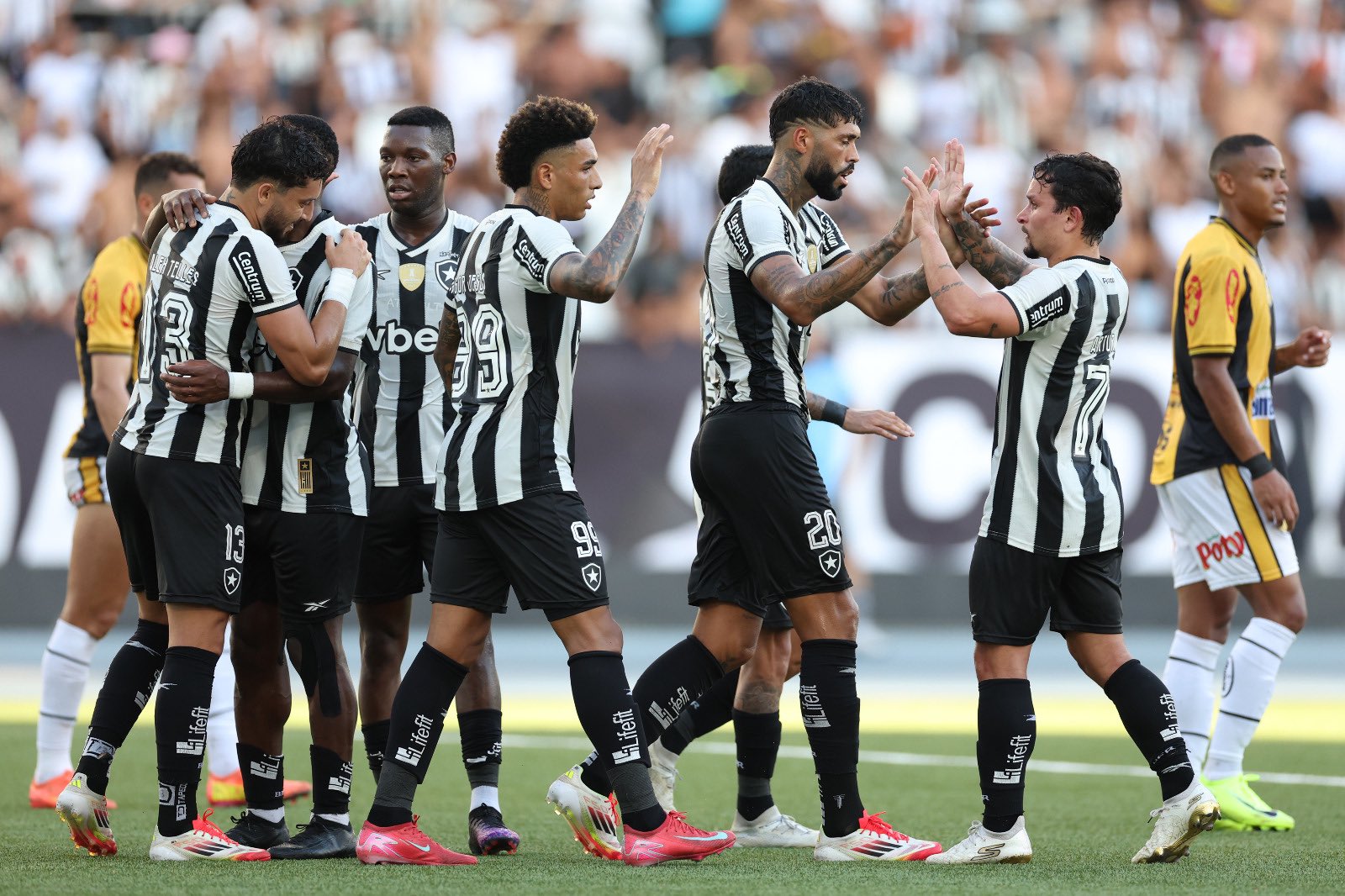 Botafogo temporada 2025
