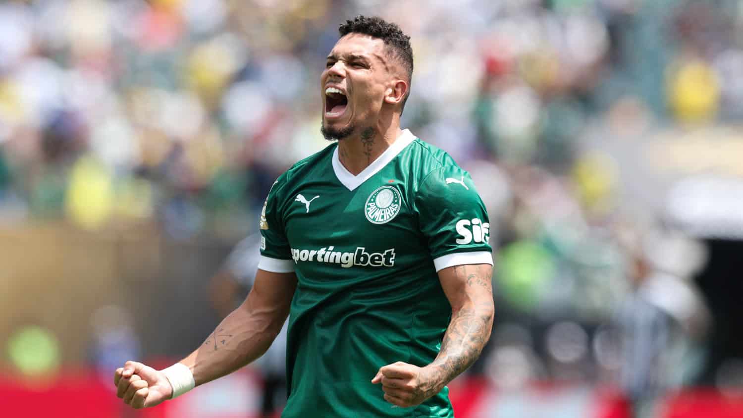 Paulinho pelo Palmeiras